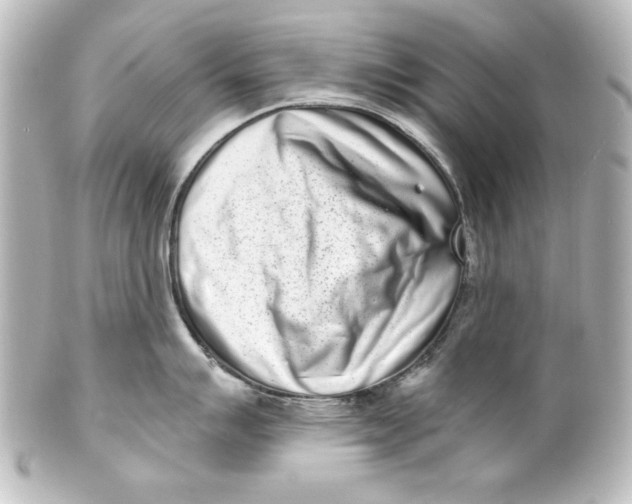 X0000101421007200807280933