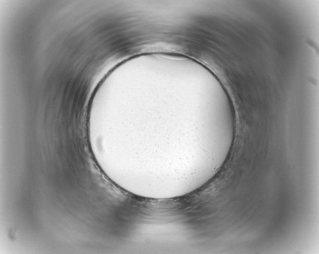 X0000101421008200807280933