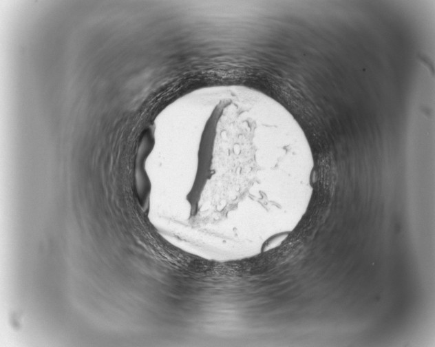 X0000101421009200807280933