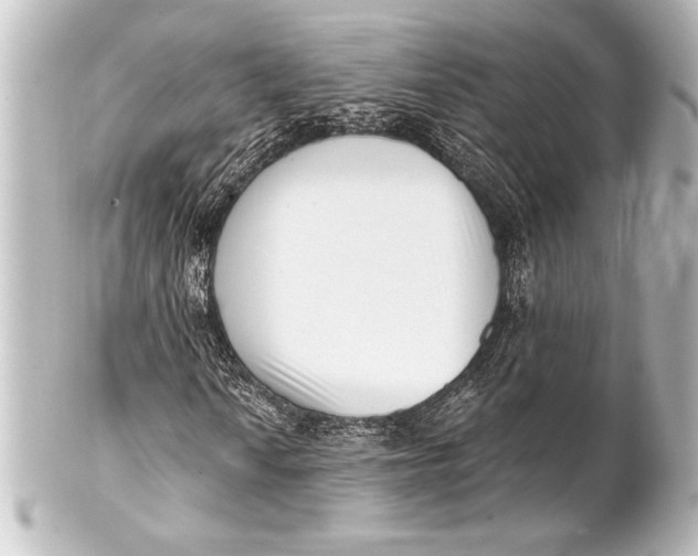 X0000101421010200807280933