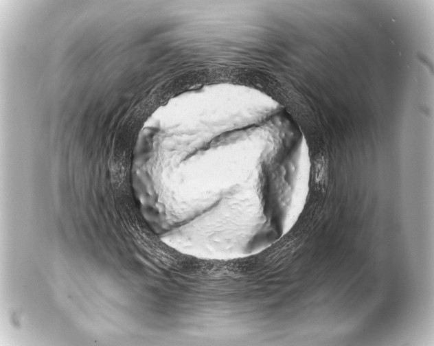 X0000101421011200807280933