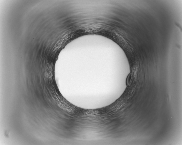 X0000101421012200807280933