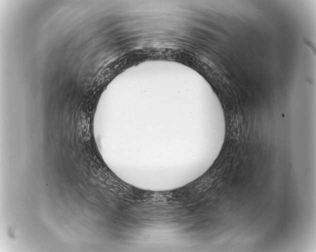 X0000101421013200807280933