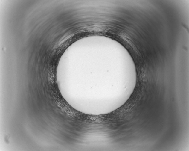 X0000101421015200807280933