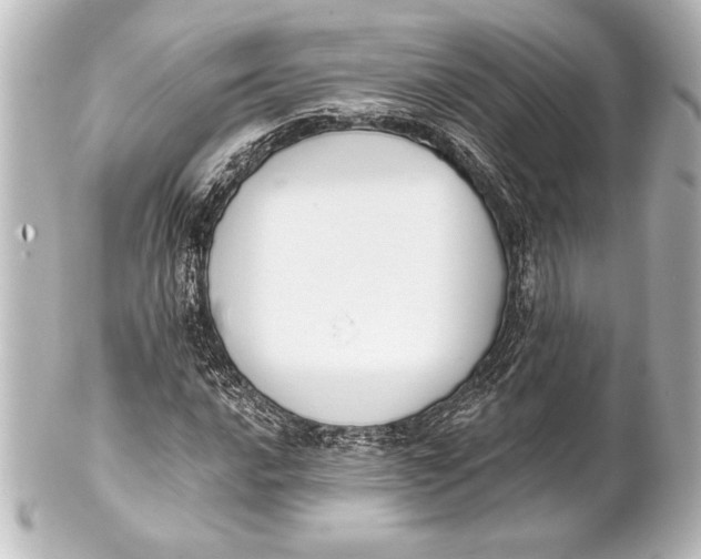 X0000101421016200807280933