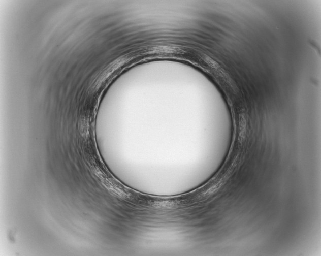 X0000101421017200807280933