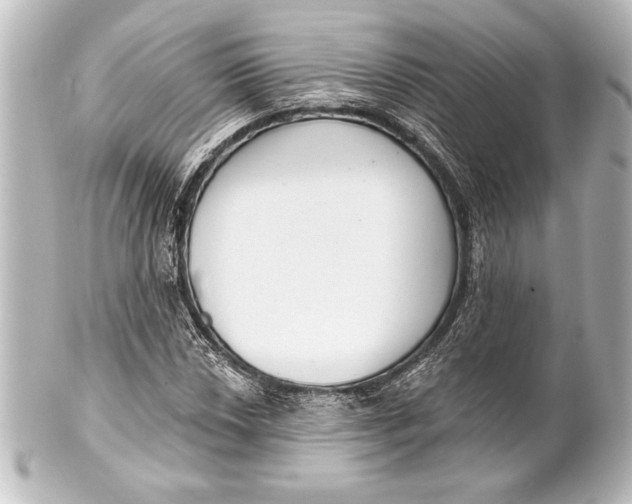 X0000101421018200807280933