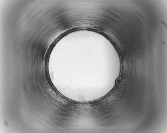 X0000101421020200807280933