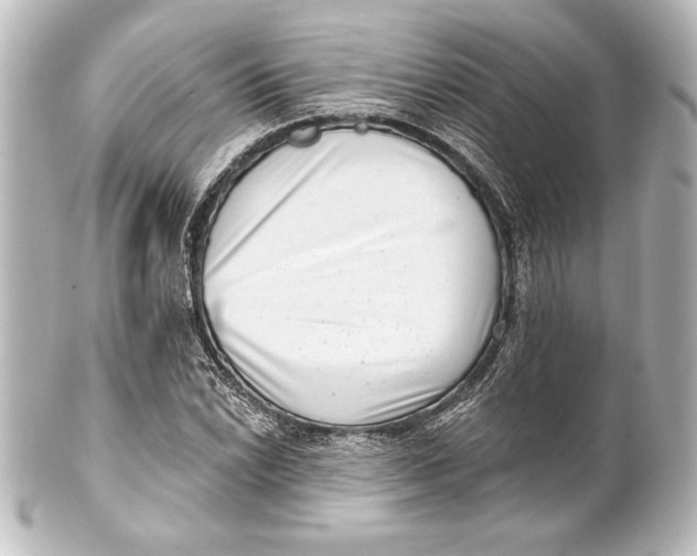 X0000101421022200807280933