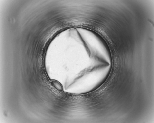 X0000101421023200807280933