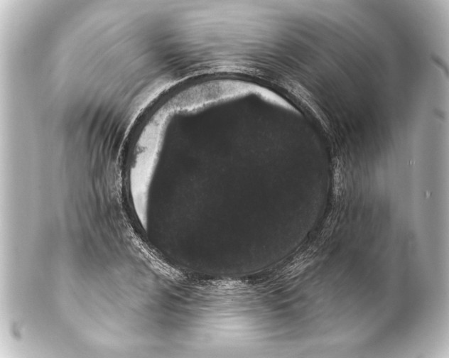 X0000101421024200807280933