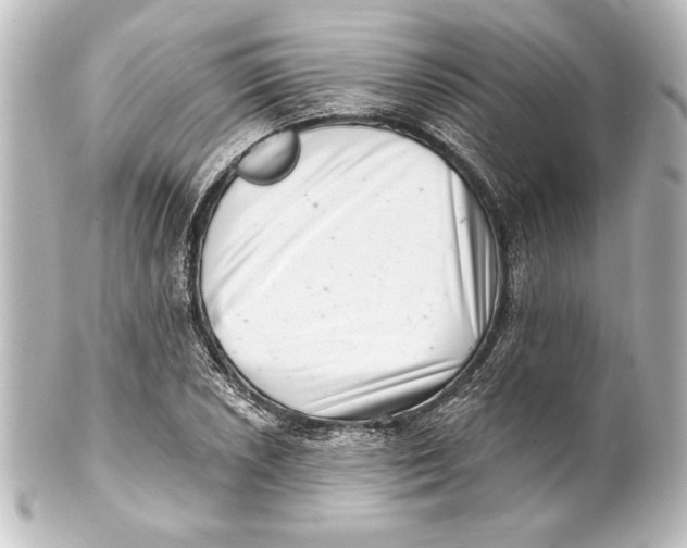 X0000101421026200807280933