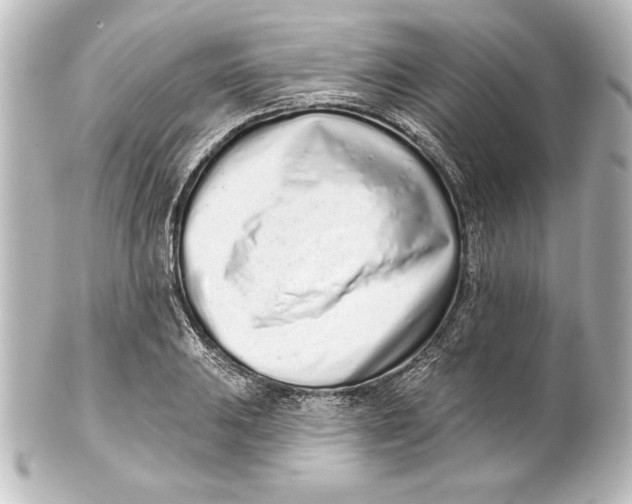 X0000101421031200807280933