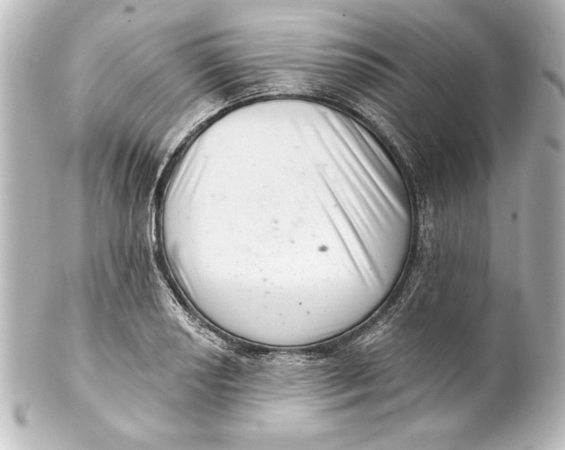 X0000101421034200807280933