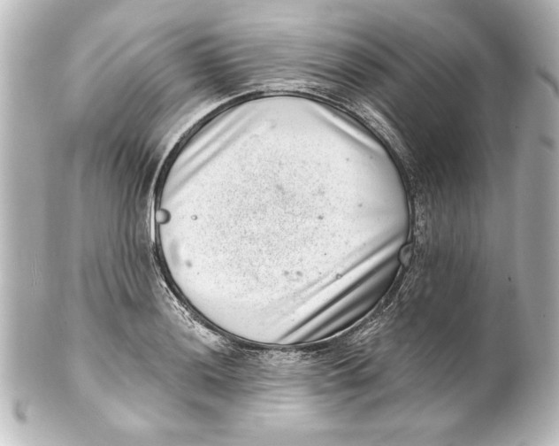 X0000101421036200807280933