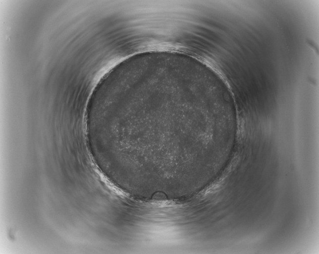 X0000101421037200807280933
