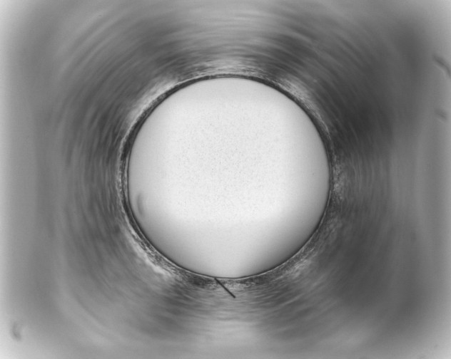 X0000101421043200807280933