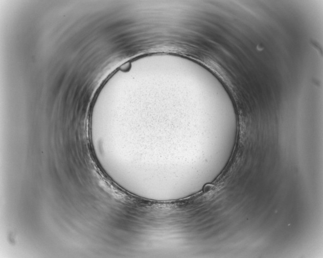 X0000101421044200807280933