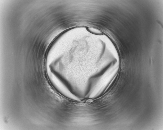 X0000101421048200807280933