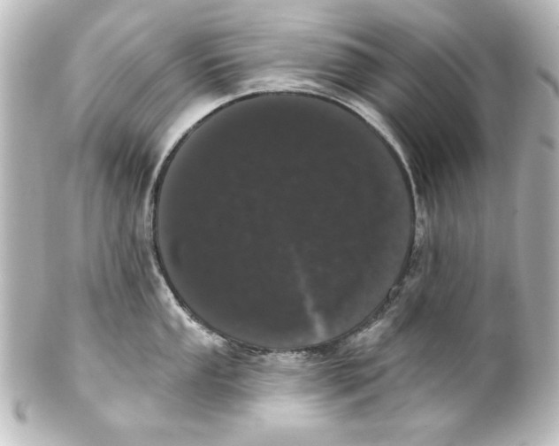 X0000101421053200807280933