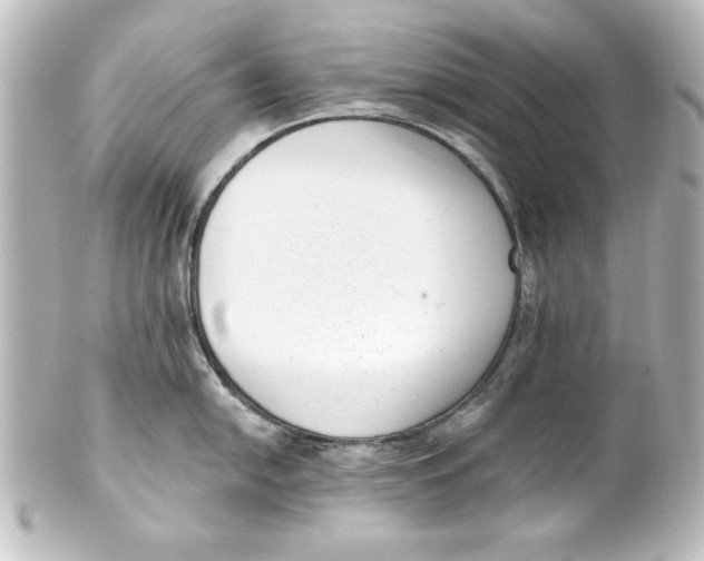 X0000101421054200807280933