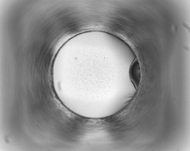 X0000101421056200807280933