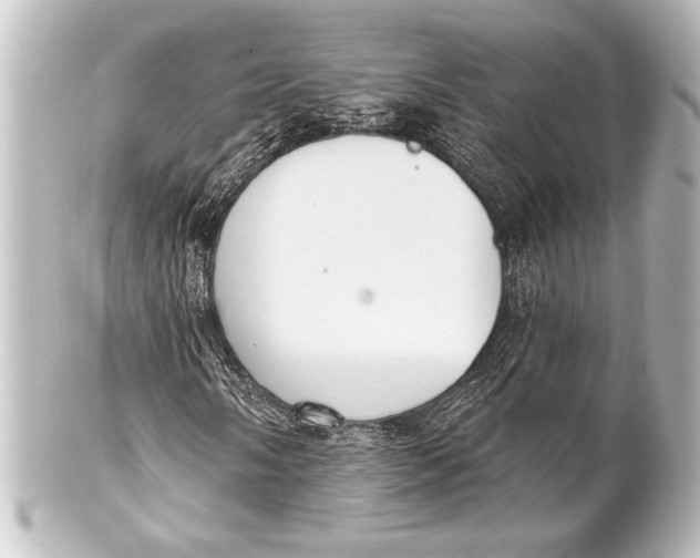 X0000101421058200807280933