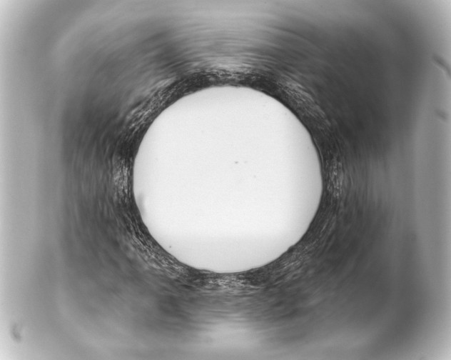 X0000101421061200807280933