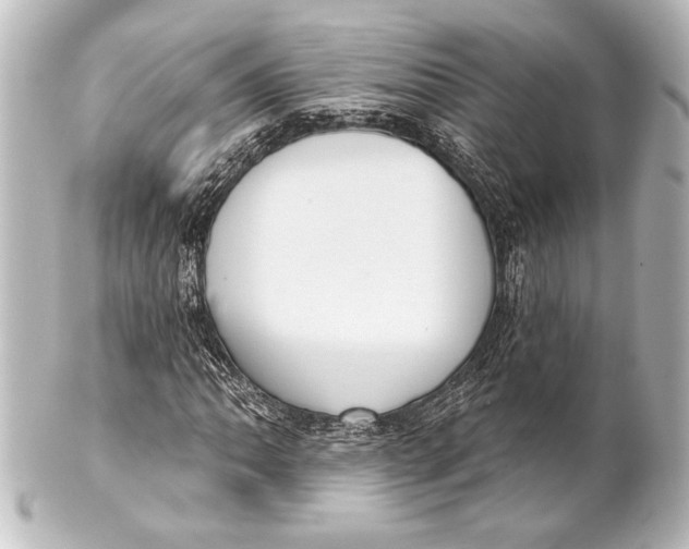 X0000101421062200807280933