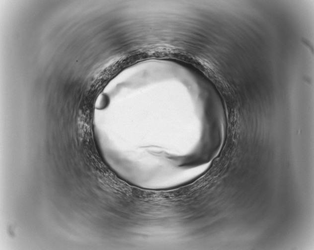 X0000101421063200807280933