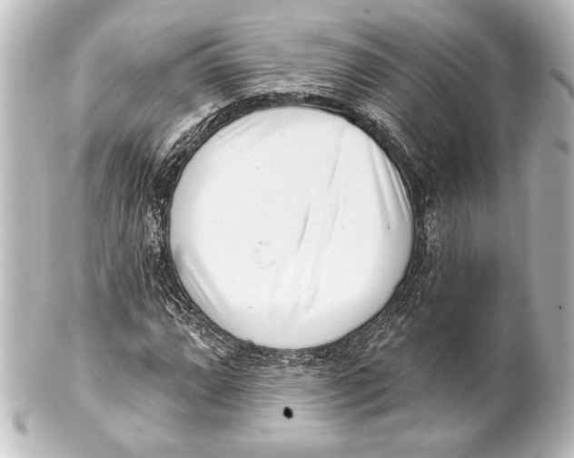 X0000101421064200807280933