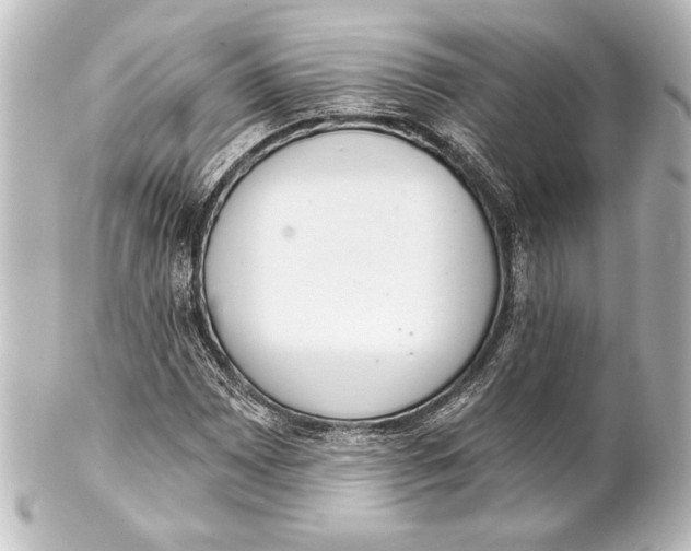 X0000101421065200807280933