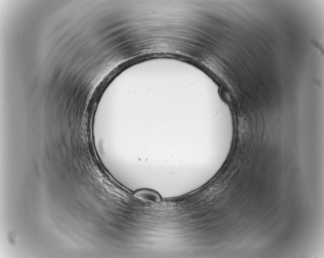 X0000101421068200807280932