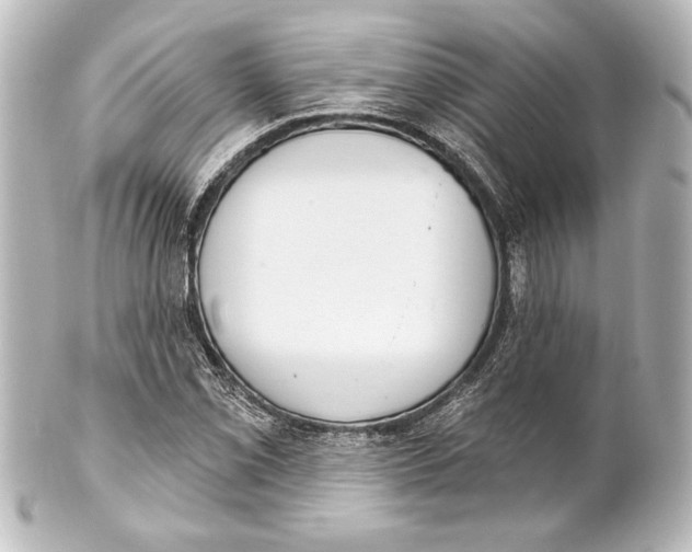 X0000101421069200807280932