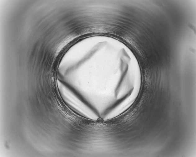 X0000101421070200807280932