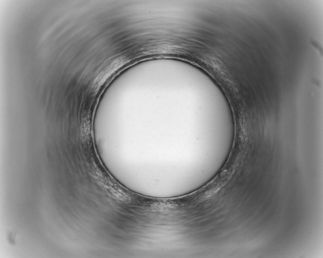 X0000101421073200807280932