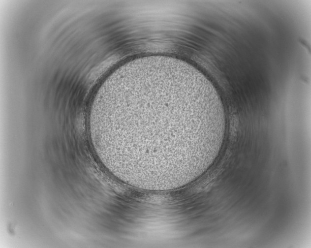X0000101421074200807280932
