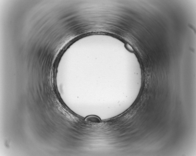 X0000101421076200807280932
