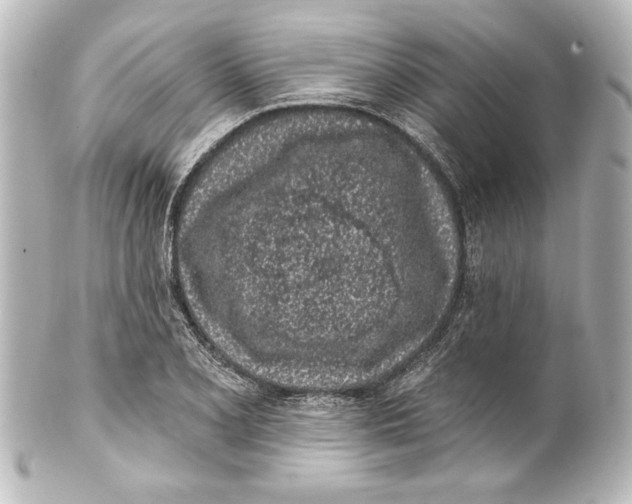 X0000101421077200807280932