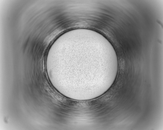 X0000101421078200807280932