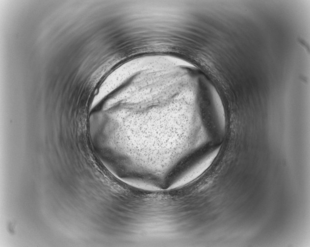 X0000101421081200807280932