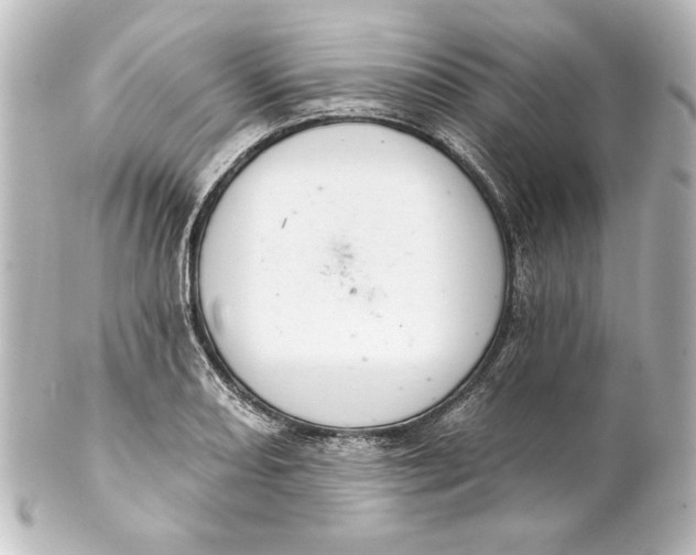 X0000101421082200807280932