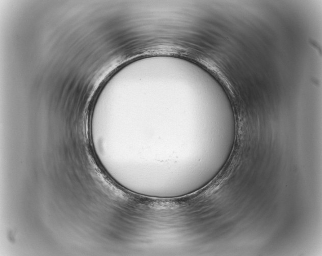 X0000101421083200807280932