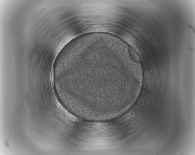 X0000101421084200807280932