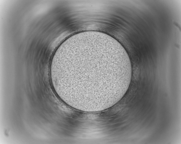 X0000101421086200807280932