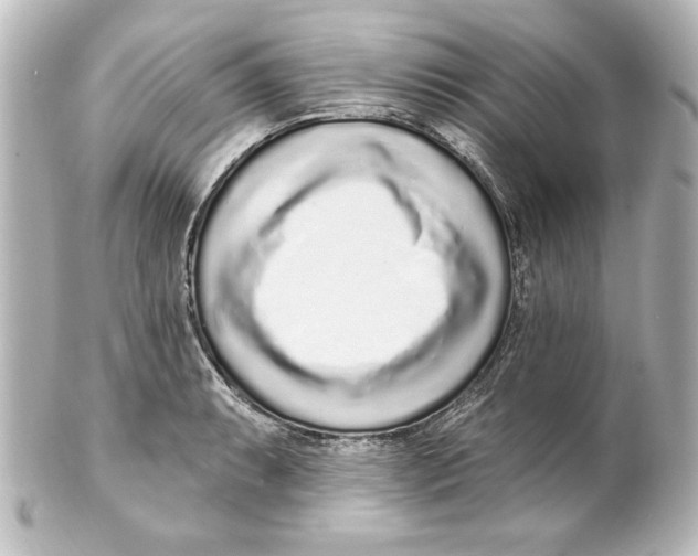 X0000101421087200807280932