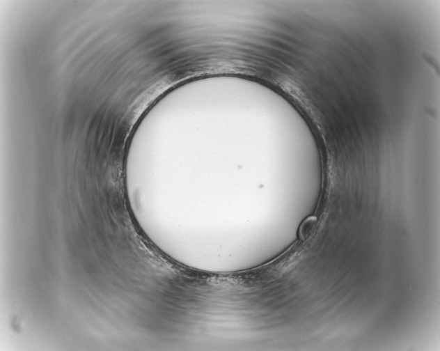 X0000101421089200807280932
