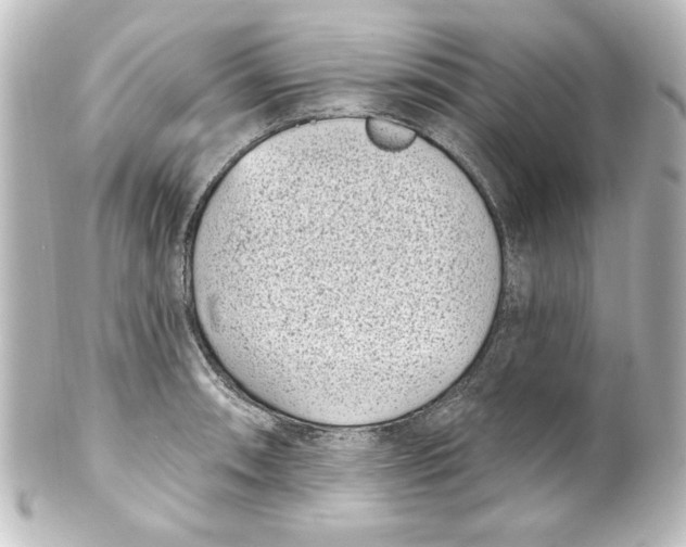 X0000101421090200807280932