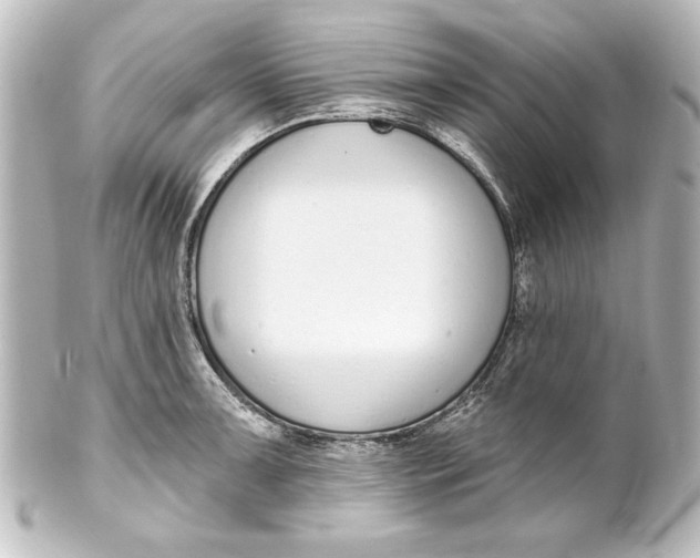 X0000101421091200807280932