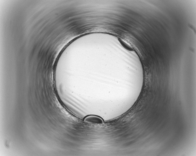 X0000101421092200807280932